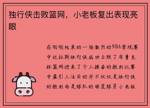 独行侠击败篮网，小老板复出表现亮眼